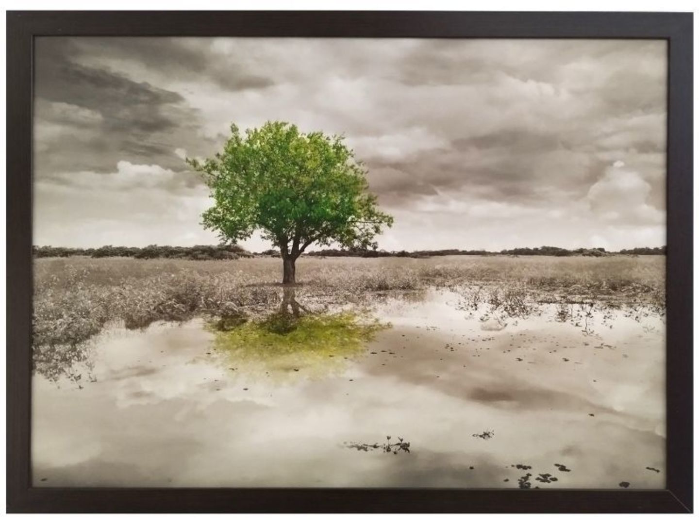 Obraz v rámu tisk na papír lepený na MDF desku, 50x70 cm, Zelený strom
