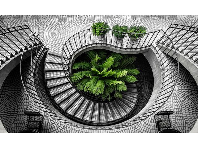 Obrázek produktu Obraz tisk na plátno, 70x110 cm, 1-Trendy