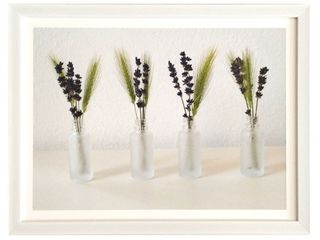 Obraz tisk v rámu, plexi sklo, 33x43 cm, Tráva levandule