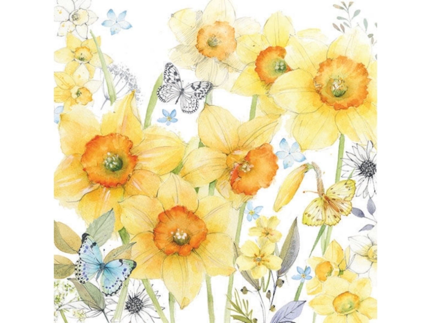 Ubrousky Ambiente narcisy