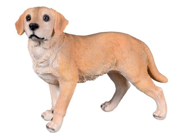 Obrázek produktu Pes Labrador stojící 14x32x23cm, polyresin
