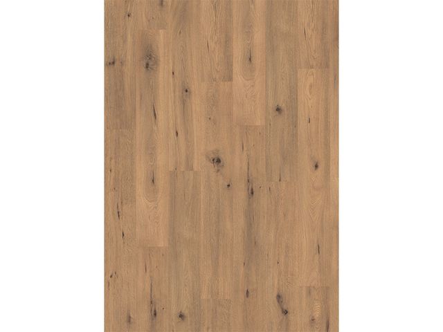 Obrázek produktu Podlaha laminátová dub divoký přírodní EL2067, 7mm, 4V