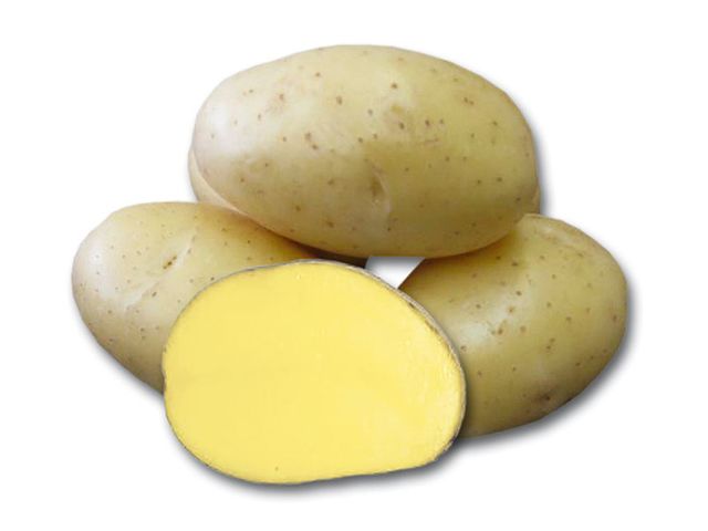 Obrázek produktu Brambory sadba DALI, žluté, 10kg