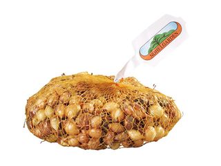 Cibule sazečka HERCULES 500g/8-16mm/žlutá