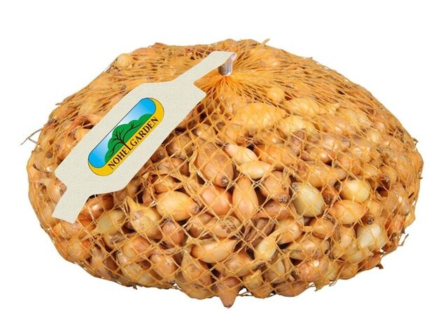 Obrázek produktu Cibule sazečka VŠETANA 250g/8-16mm/žlutá