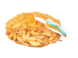 Cibule sazečka Birnformige 500g, 8-16mm, žlutá