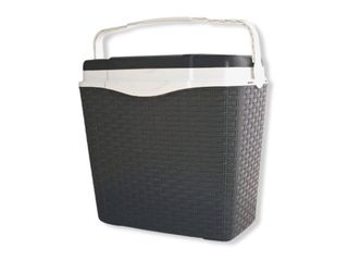 Box chladicí 24L, ratan, šedý