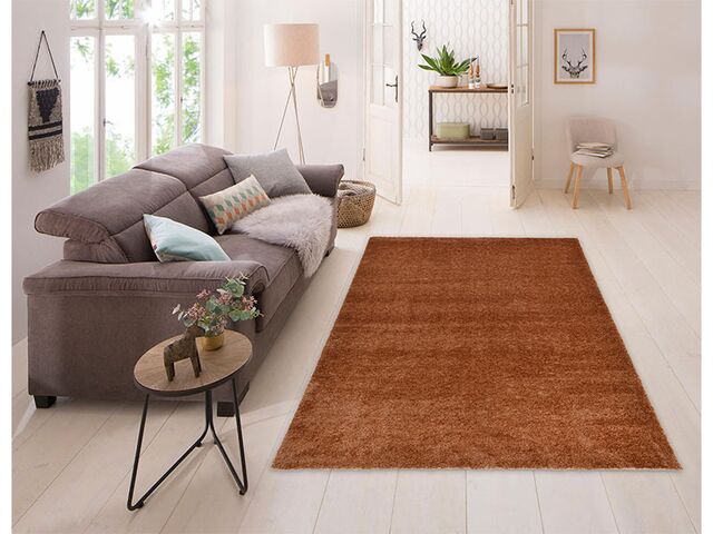 Obrázek produktu Kusový koberec Puffy Shaggy, čevenohnědý BE66, 80x150