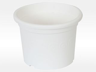Květináč Narcis bílý