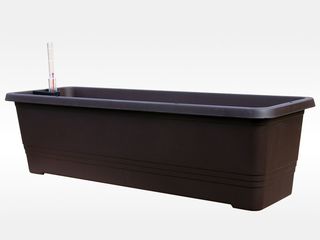 Truhlík samozavlažovací Bergamot čokoláda